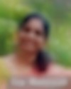 Parackal Baby Mini